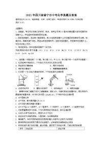 _2021年四川省遂宁市中考化学真题及答案