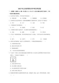 2023年山东省青岛市中考化学真题