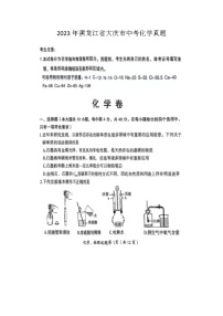 2023年黑龙江省大庆市中考化学真题