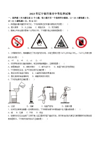 2023年辽宁省丹东市中考化学真题(无答案)