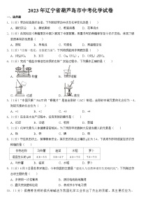 2023年辽宁省葫芦岛市中考化学试卷【附答案】