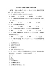 2023年山东省青岛市中考化学试卷【附答案】