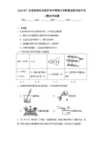 2022年广东省深圳市龙岗区华中师范大学附属龙园学校中考三模化学试题（含解析）