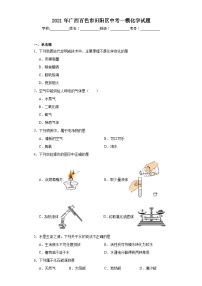 2021年广西百色市田阳区中考一模化学试题（含解析）