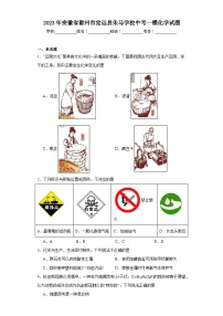 2023年安徽省滁州市定远县朱马学校中考一模化学试题（含解析）