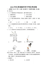 2023年江苏省泰州市中考化学试卷【附答案】