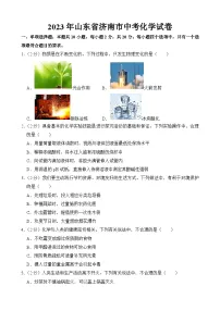 2023年山东省济南市中考化学试卷【附答案】