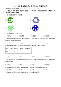 2022-2023学年广东省初中学业水平考试模拟化学试题