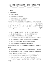 2023年安徽省安庆市迎江区第十四中学中考模拟化学试题（含解析）