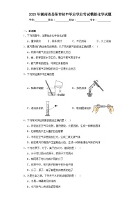 2023年湖南省岳阳市初中毕业学业考试模拟化学试题（含解析）