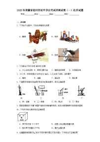 2023年安徽省宿州市初中学业考试冲刺试卷（一）化学试题（含解析）