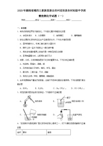 2023年湖南省湘西土家族苗族自治州花垣县农村初级中学质量检测化学试题（一）（含解析）