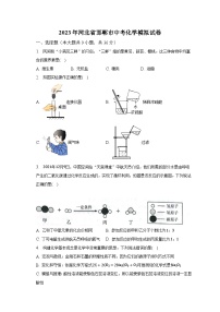 2023年河北省邯郸市中考化学模拟试卷（含解析）