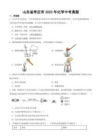 山东省枣庄市2023年化学中考真题(附参考答案)