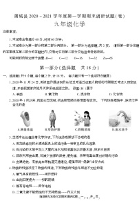 陕西省渭南市蒲城县2020-2021学年九年级上学期期末考试化学试卷