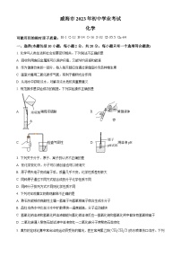 2023年山东省威海市中考化学真题及答案