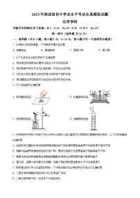 2022-2023学年陕西省汉中市初中学业水平考试全真模拟化学试题