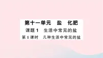 人教版九年级下册课题1 生活中常见的盐作业ppt课件