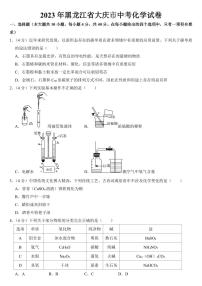 2023年黑龙江省大庆市中考化学试卷附参考答案