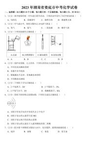 2023年湖南省娄底市中考化学试卷附参考答案