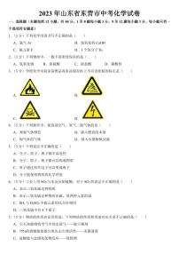 2023年山东省东营市中考化学试卷附参考答案