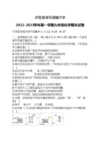 新疆哈密市伊吾县淖毛湖镇中学2022-2023+学年九年级上学期化学期末试卷