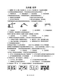 陕西省西安市高新第一中学2023-2024学年九年级上学期开学收心考试化学试卷