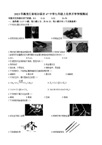 黑龙江省哈尔滨市第四十七中学2023-2024学年九年级上学期开学学情测化学试题（含答案）