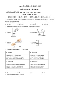 精品解析：2022年湖北省武汉市东湖高新区九年级五月调考化学试题（原卷版）