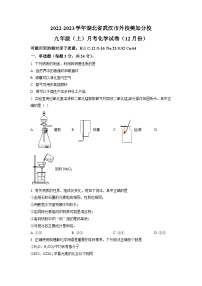 精品解析：湖北省武汉市外国语学校美加分校2022-2023学年九年级上学期12月月考化学试题（原卷版）