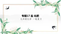 盐 化肥-中考化学一轮专题复习课件PPT