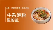 中考化学一轮复习专题：常见的盐课件PPT