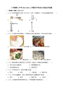 吉林省长春市榆树市八号镇第三中学2023-2024学年九年级上学期开学化学试题