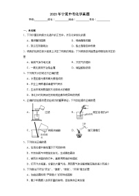 2023年宁夏中考化学真题（含解析）