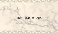 盐 化肥-中考化学一轮复习课件PPT