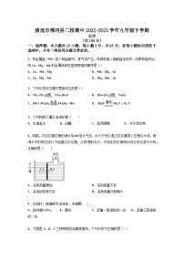 广东省清远市佛冈县二校2022-2023学年九年级下学期4月期中化学试题（含答案）