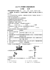 湖南省岳阳市2022-2023学年九年级下学期期中化学试题（含答案）