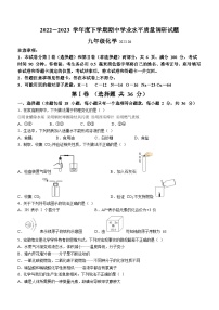 山东省临沂市罗庄区2022-2023学年九年级下学期期中化学试题（含答案）