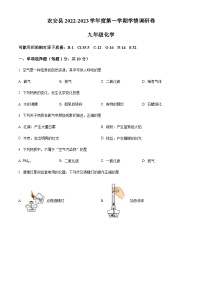 吉林省长春市农安县2022-2023学年九年级上学期期中化学试题