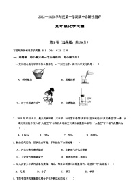 山东省枣庄市台儿庄区2022-2023学年九年级上学期期中考试化学试题