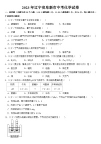 2023年辽宁省阜新市中考化学试卷【附答案】