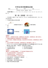 中考化学冲刺模拟试卷01（含解析）