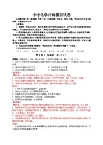 中考化学冲刺模拟试卷12（含解析）