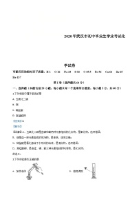 湖北省武汉市2020年中考化学试题（含解析）