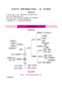 中考化学一轮微专题复习学案：盐化学肥料 (含答案)