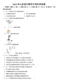 2023年山东省日照市中考化学试卷【附答案】