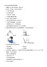 2022年山东省东营市中考化学真题