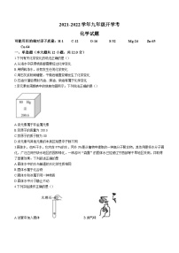 安徽省安庆市迎江区安庆市石化第一中学2021-2022 学年九年级下学期开学考试化学试题(无答案)