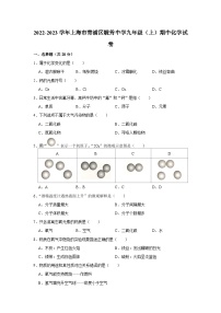 上海市青浦区毓秀中学2022-2023学年九年级上学期期中化学试卷