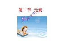 化学八年级全册第二节 元素课文配套ppt课件